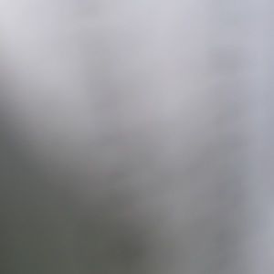 Meet your Posher, Fionnuala